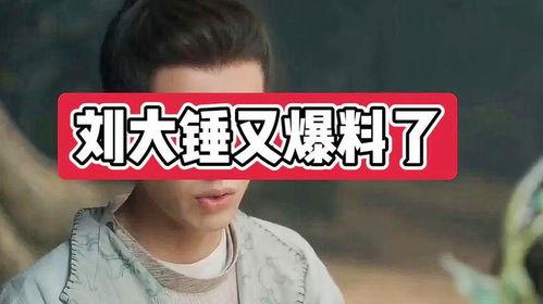 刘大锤爆料的细节视频,细节视频曝光惊人内幕